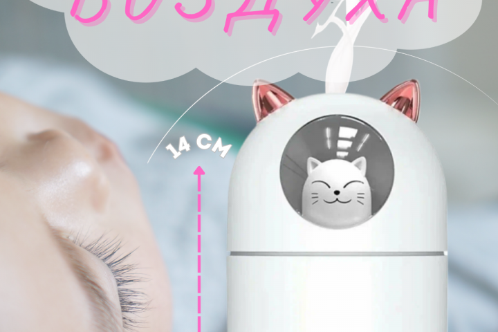 Инфографика