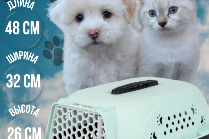 Инфографика