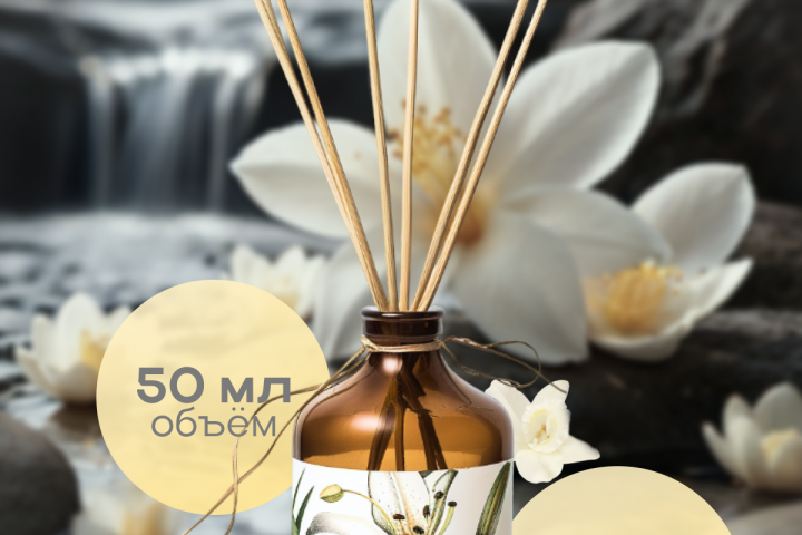 Инфографика