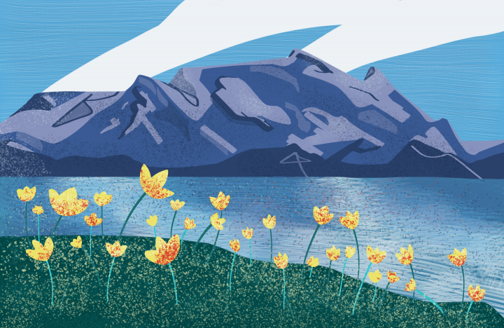 Иллюстрация "горы"