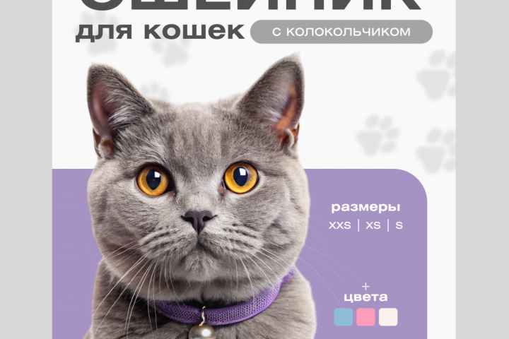 Инфографика