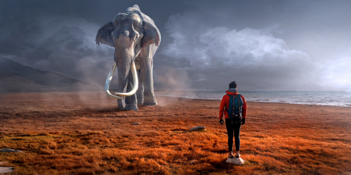 Huge Elephant (Ambiance)