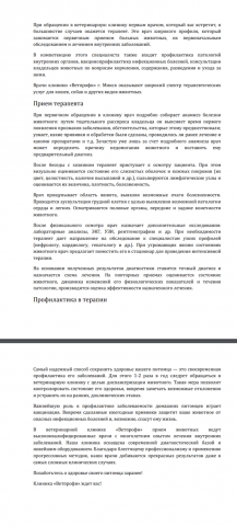 Прием терапевта в ветеринарной клинике
