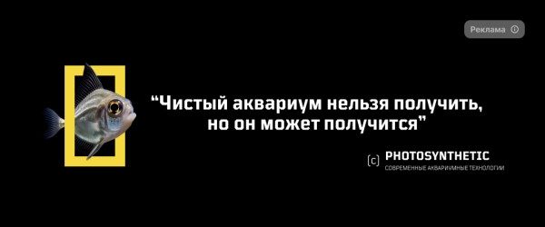 Баннер для компании Photosynthetic