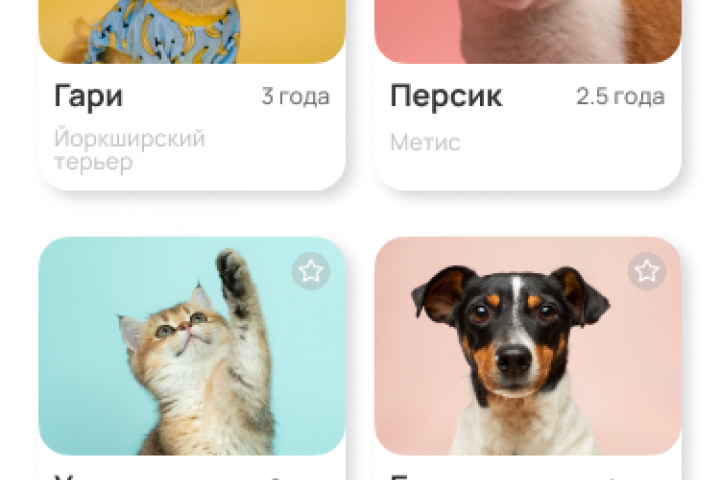 Приложение по выбору домашнего питомца