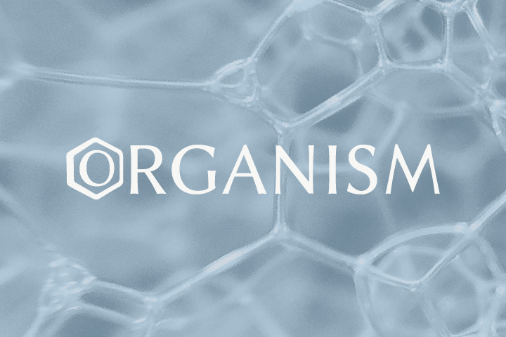 Разработка логотипа для бренда натуральной косметики «Organism»