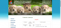 4 лапы
