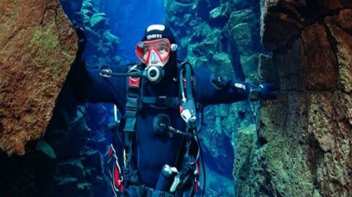 Reels: познавательное видео о природе