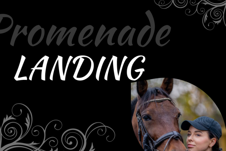 Лэндинг. Фотосессия с лошадьми