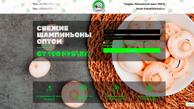 Продажа грибов оптом