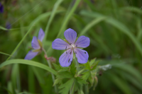 Работа 1849834