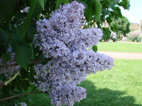 Работа 1849833