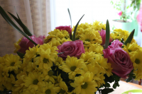 букет цветов