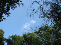 Работа 1849841