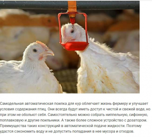 Сбор автопоилки для кур своими руками