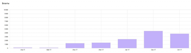 Продвижение интернет-магазина на тему - спортивная одежда