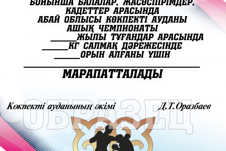 Дипломы