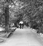 Работа 3060095