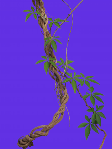 Обтравка лозы