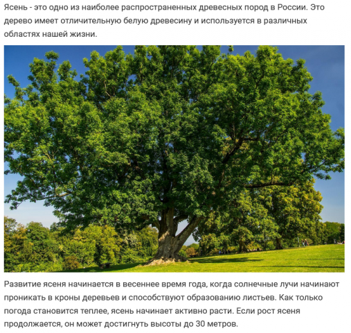 Рерайт текста