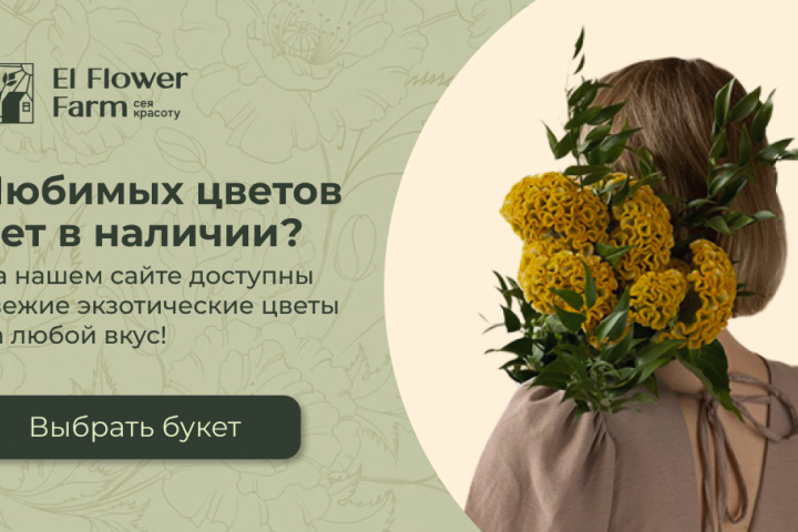 Дизайн баннера для Flora&Co