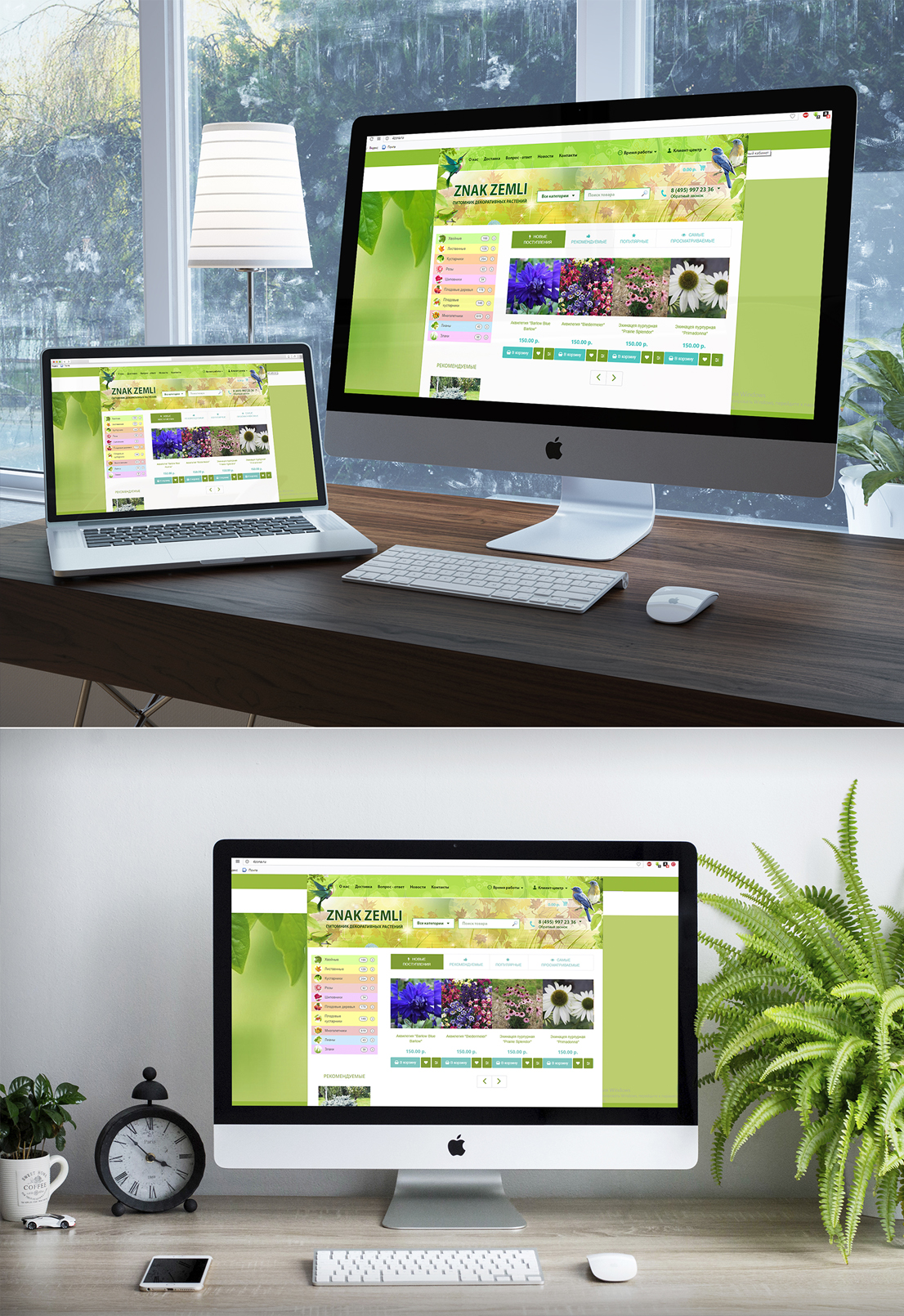 pic3323729.jpg