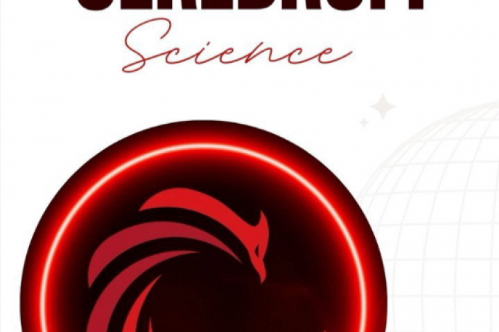 Дизайн банера