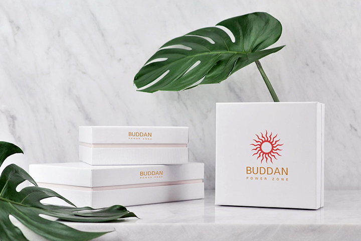 Логотип Buddan