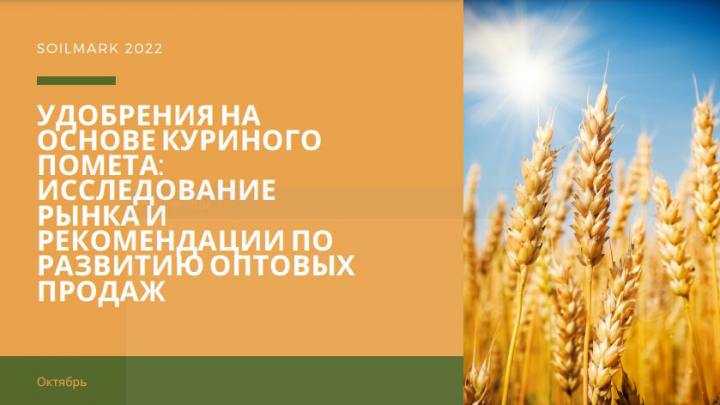 Исследование рынка и рекомендации по развитию оптовых продаж