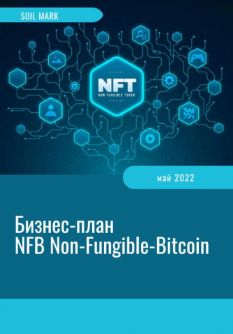 Бизнес-план NFB Non-Fungible-Bitcoin