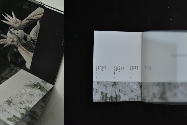 Дизайн книги (верстка/prepress/дизайн)