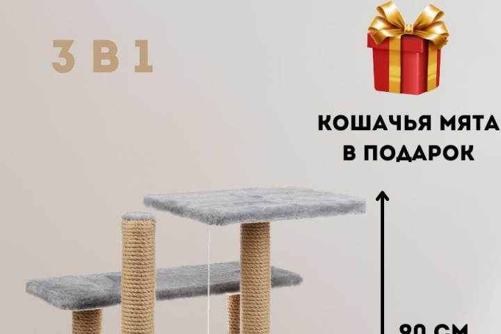 Инфографика