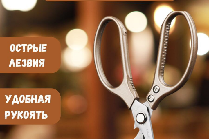 Инфографика