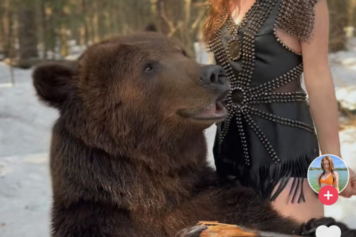 Коллаборация NastenkaSavich и медведя Тома