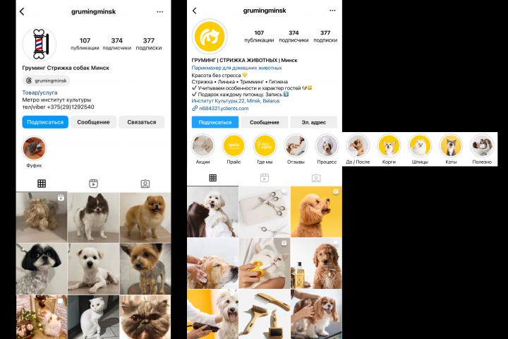 Аккаунт салона груминга