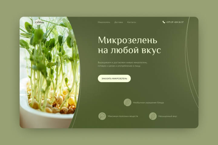 Дизайн концепт для магазина Микро-зелень