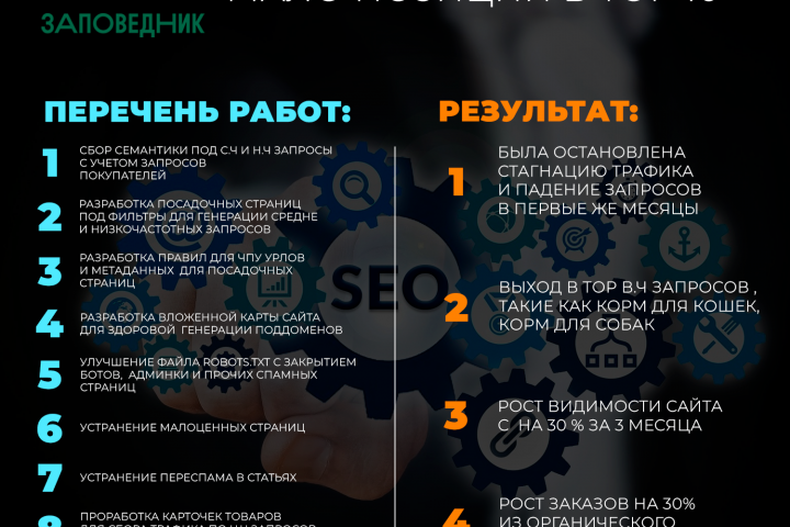 Продвижение магазина товара для животных