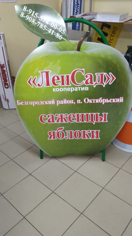 Работа 3753218