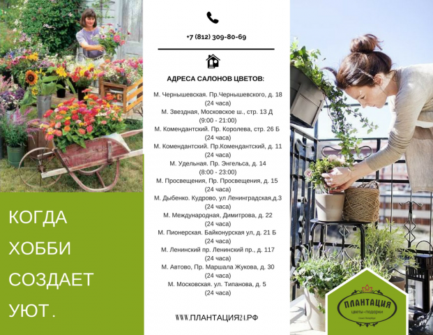 Евробуклет