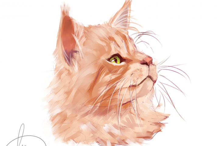 2D иллюстрация кота