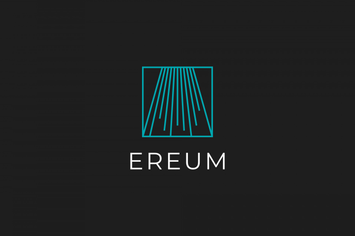 Логотип консалтингового агентства "Ereum"