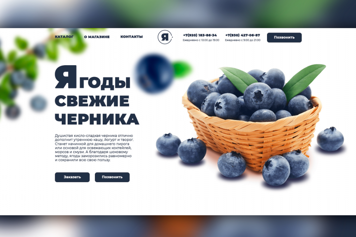 Дизайн лендинга