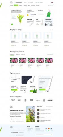Верстка + интеграция на Wordpress