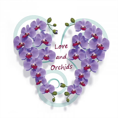 Orchids. Макет для печати