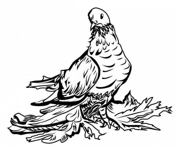 Работа 3476484