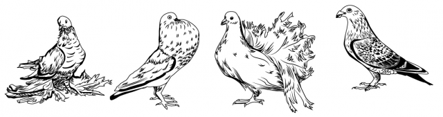 Работа 3476480