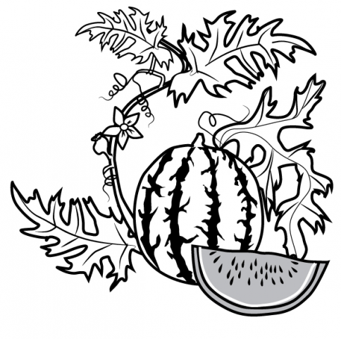 Работа 3476474