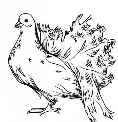 Работа 3476473