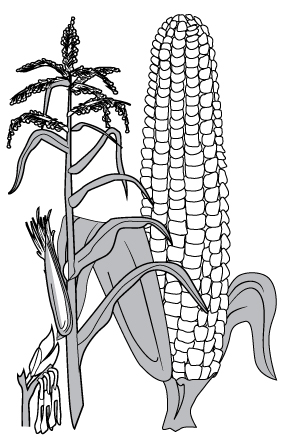 Работа 3476468