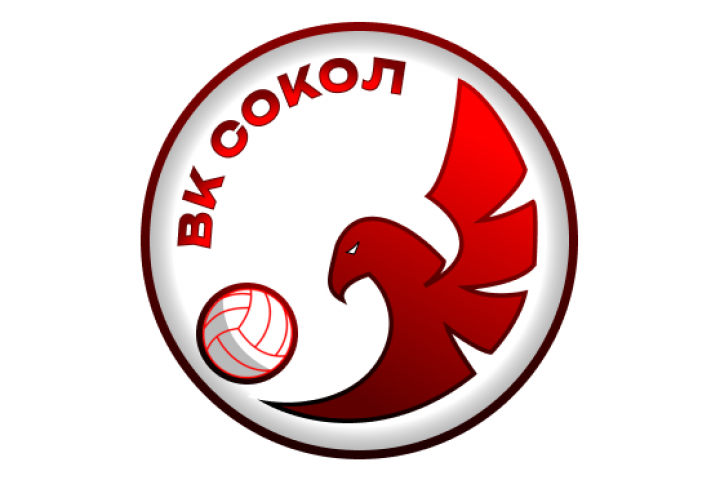Логотип волейбольного клуба "Сокол".